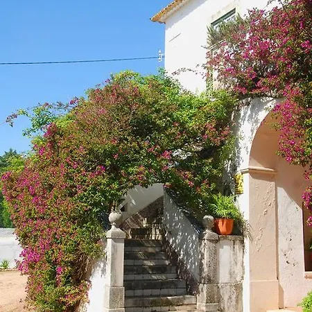 Casal Das Flores Apartment Torres Novas