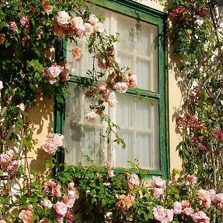 Apartment Casal Das Flores