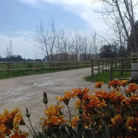Casal Das Flores * Torres Novas